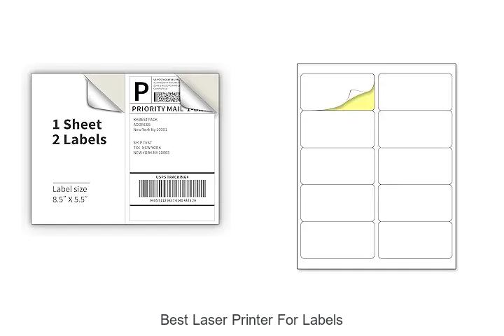 Top 12 Best Laser Printer For Labels You Can’t Miss!