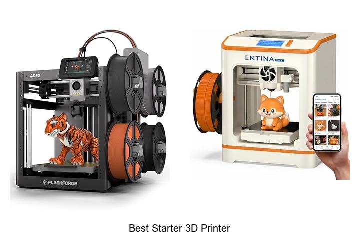 Top 12 Best Starter 3D Printer That Will Blow Your Mind