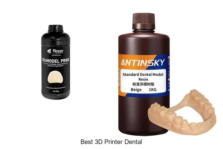 Top 12 Best 3D Printer Dental Models You Can’t Miss!