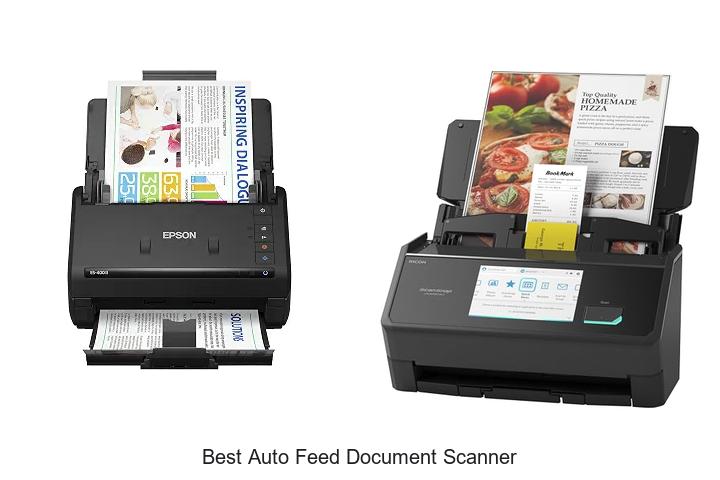 Top 12 Best Auto Feed Document Scanner You Need Now